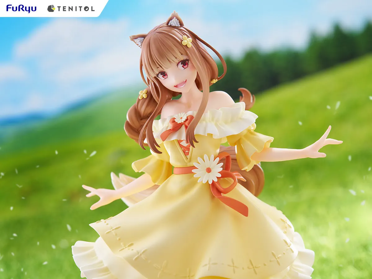 [Pre-order] Spice and Wolf - Holo Non Scale Figure FURYU Corporation
