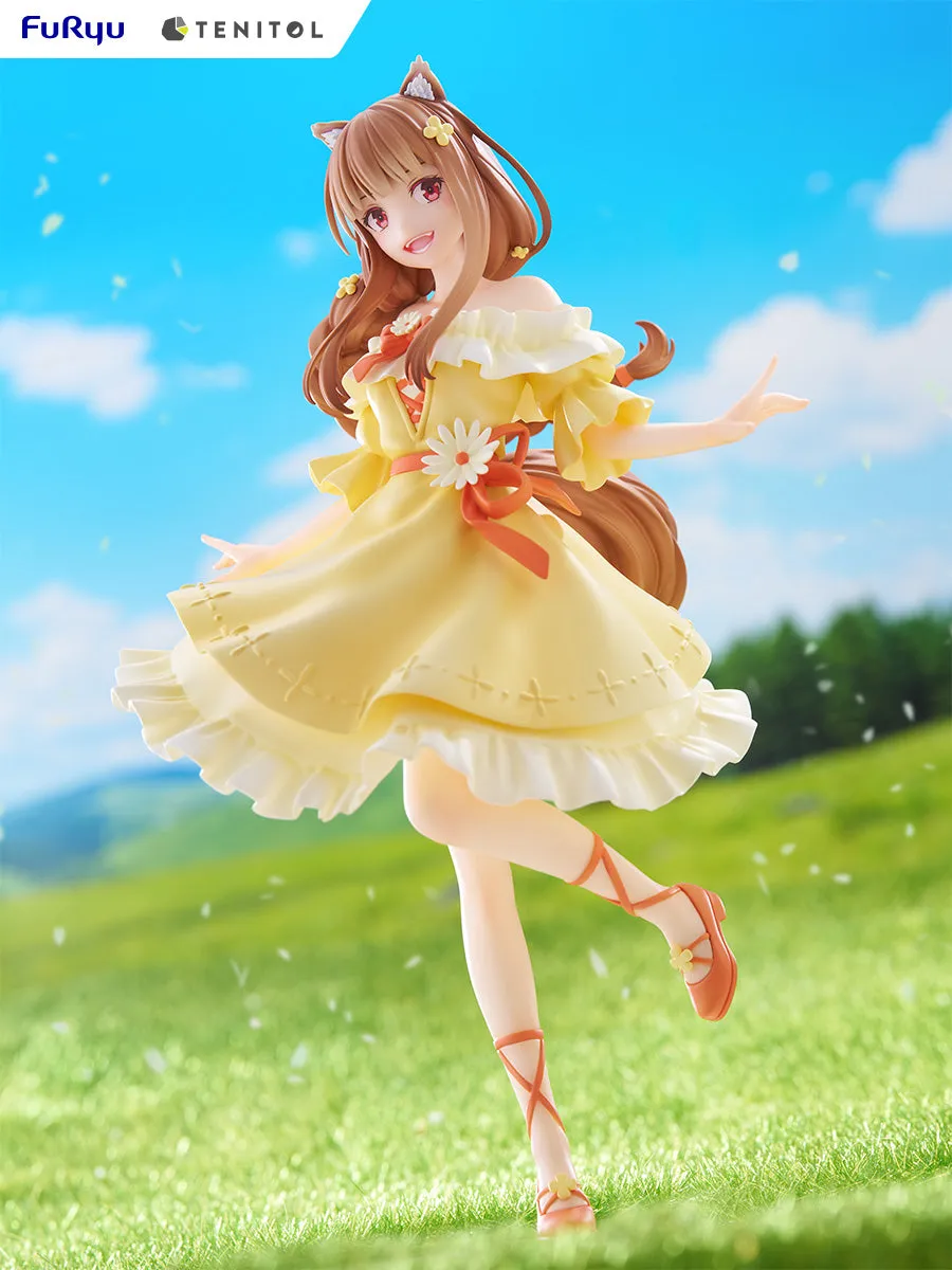[Pre-order] Spice and Wolf - Holo Non Scale Figure FURYU Corporation