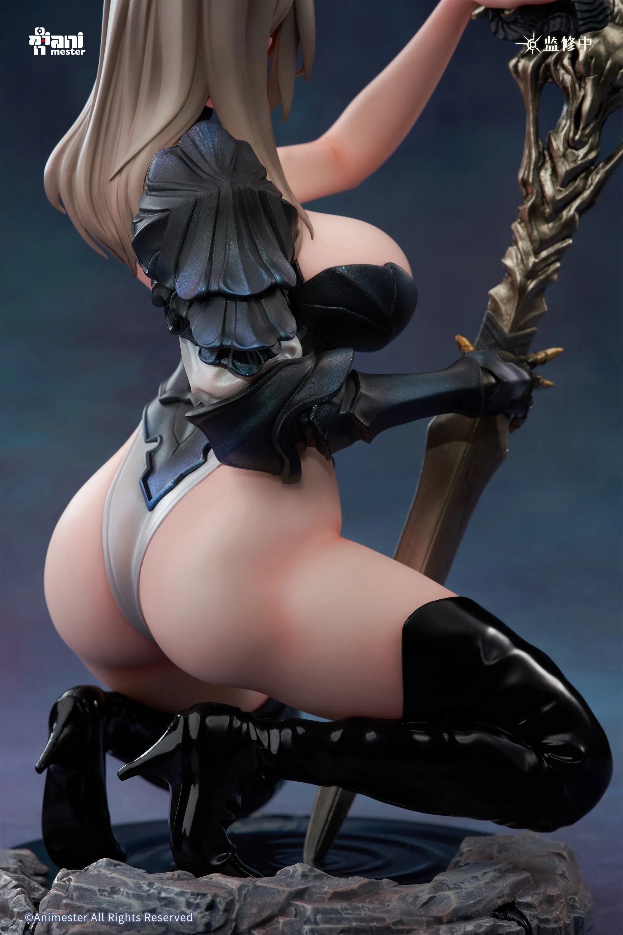 [Pre-order] The Witcher - Selina (Chasing Eye 2.0 Ver.) 1/6 Scale Figure Animester